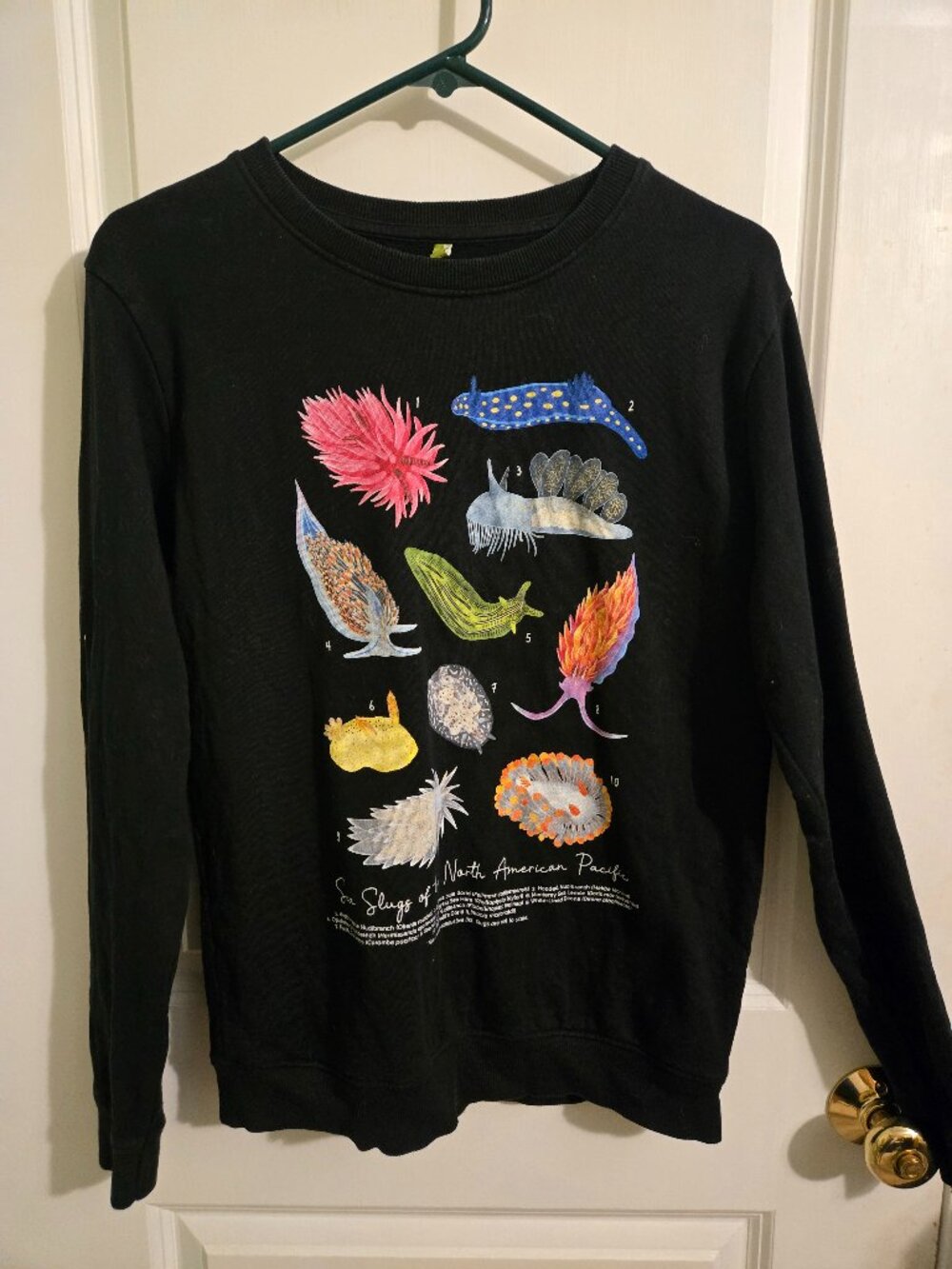 Nudibranch Sweatshirt Sz 12 (UK) Like New